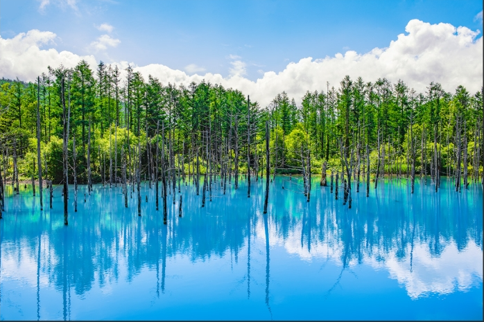 テキストテキストテキスト