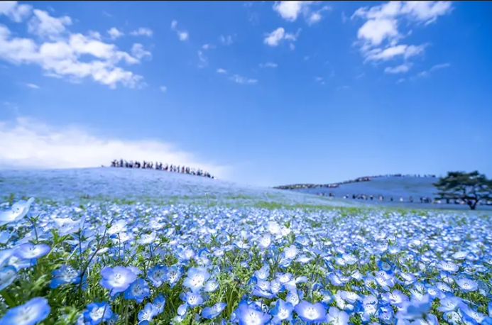 テキストテキストテキスト